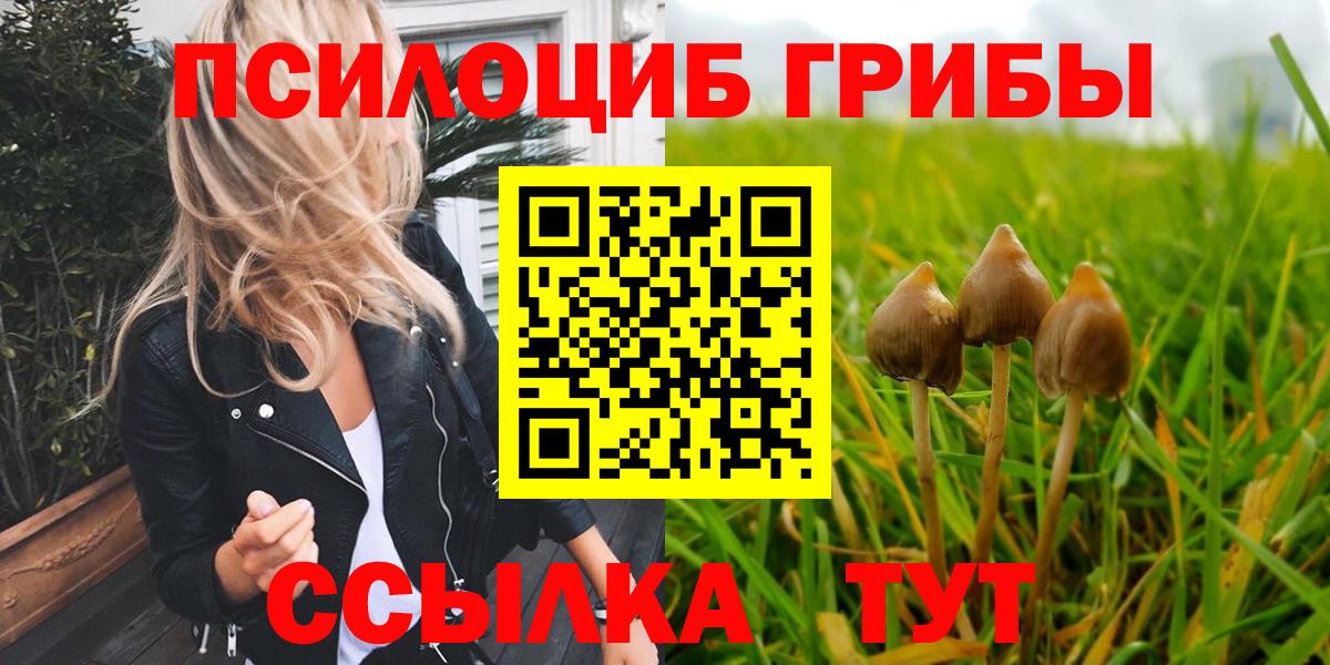 Галлюциногенные грибы ЛСД  Галлюциногенные грибы Psilocybe  Вход с VPN  Красный Сулин 