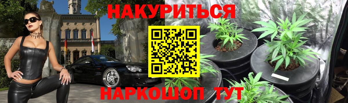 Канабис семена  Бошки марихуана Bruce Banner  Вход с VPN  Красный Сулин  МАРИХУАНА марихуана 